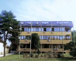 Organizacija